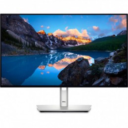 DL MONITOR 23.8" U2424HE...