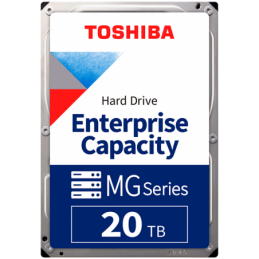 HDD Server TOSHIBA MG10...