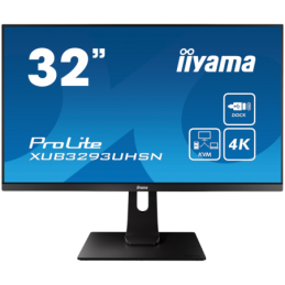 Iiyama ProLite...