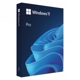 Win 11 Pro FPP P2...