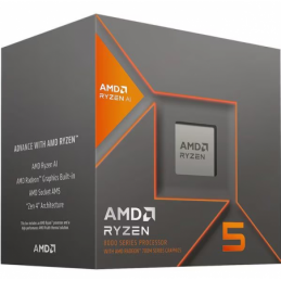AMD CPU RYZEN 5 8600G...