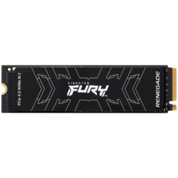 Kingston 2000G Fury...