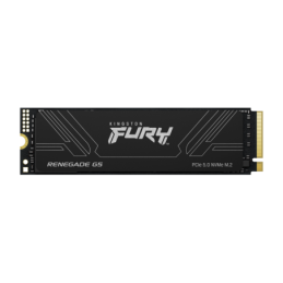 SSD Kingston  Fury...