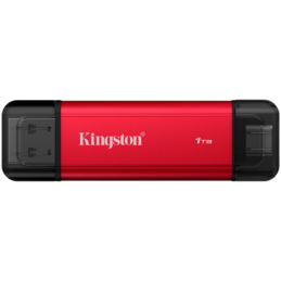 Kingston 1TB Dual USB-A/C...
